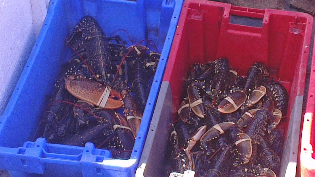 2014 Ile de Noirmoutiers Sylt (287)